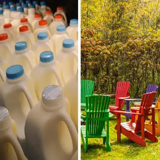 Sustainability and Environmental Impact