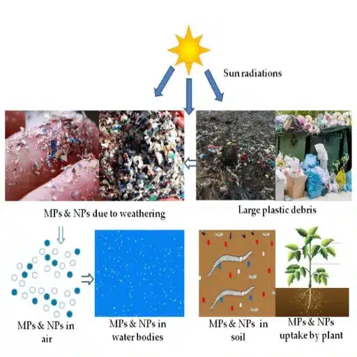 Environmental Impact of Plastic and Polyethylene