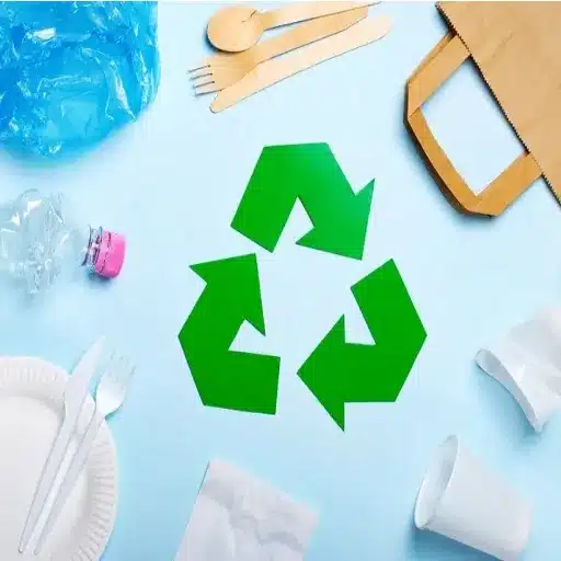 Environmental Impact and Recycling