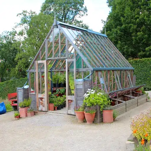 best greenhouse plastic
