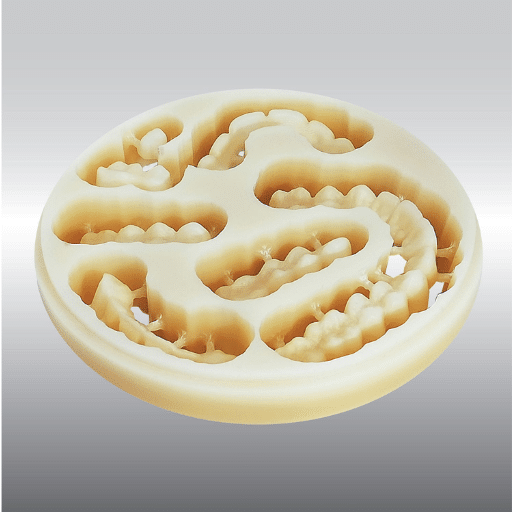 Applications of PMMA in Dental Practices